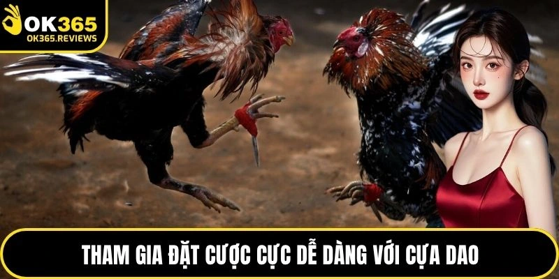 Tham gia đặt cược cực dễ dàng với cựa dao